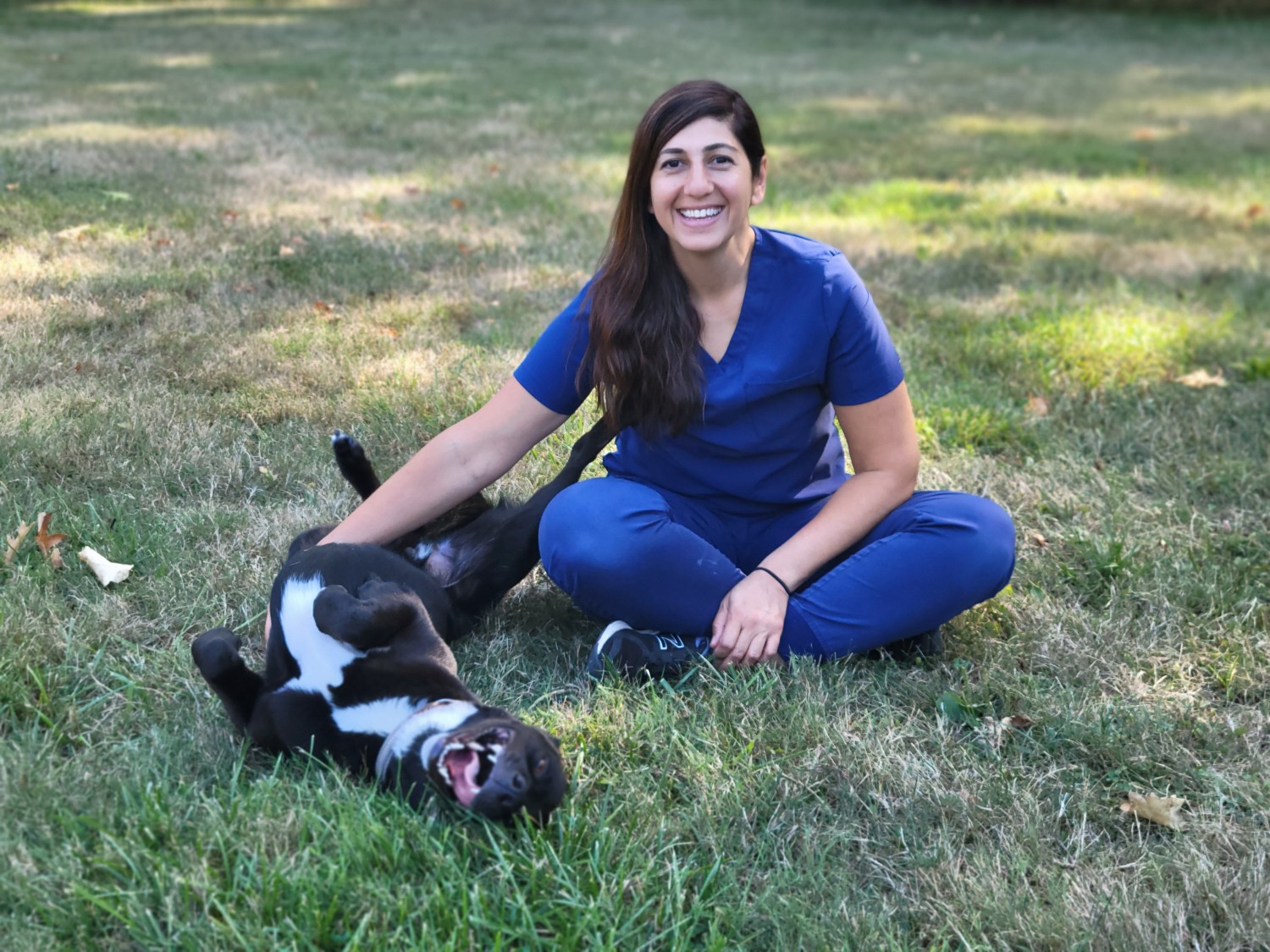 Dr. Asal Caskey: Practice Owner/Medical Director - Spring Mill Veterinary Hospital