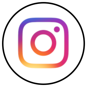 Follow Spring Mill Veterinary Hospital on Instagram!