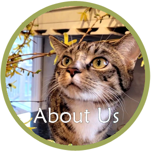 Spring Mill Veterinary Hospital - Conshohocken, PA - About Us