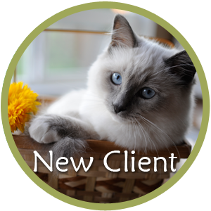 Spring Mill Veterinary Hospital - Conshohocken, PA - New Client Form