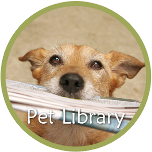 Spring Mill Veterinary Hospital - Conshohocken, PA - Pet Library